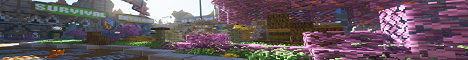 Mineverso banner